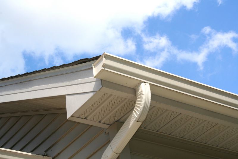 Downspout Repair detail
